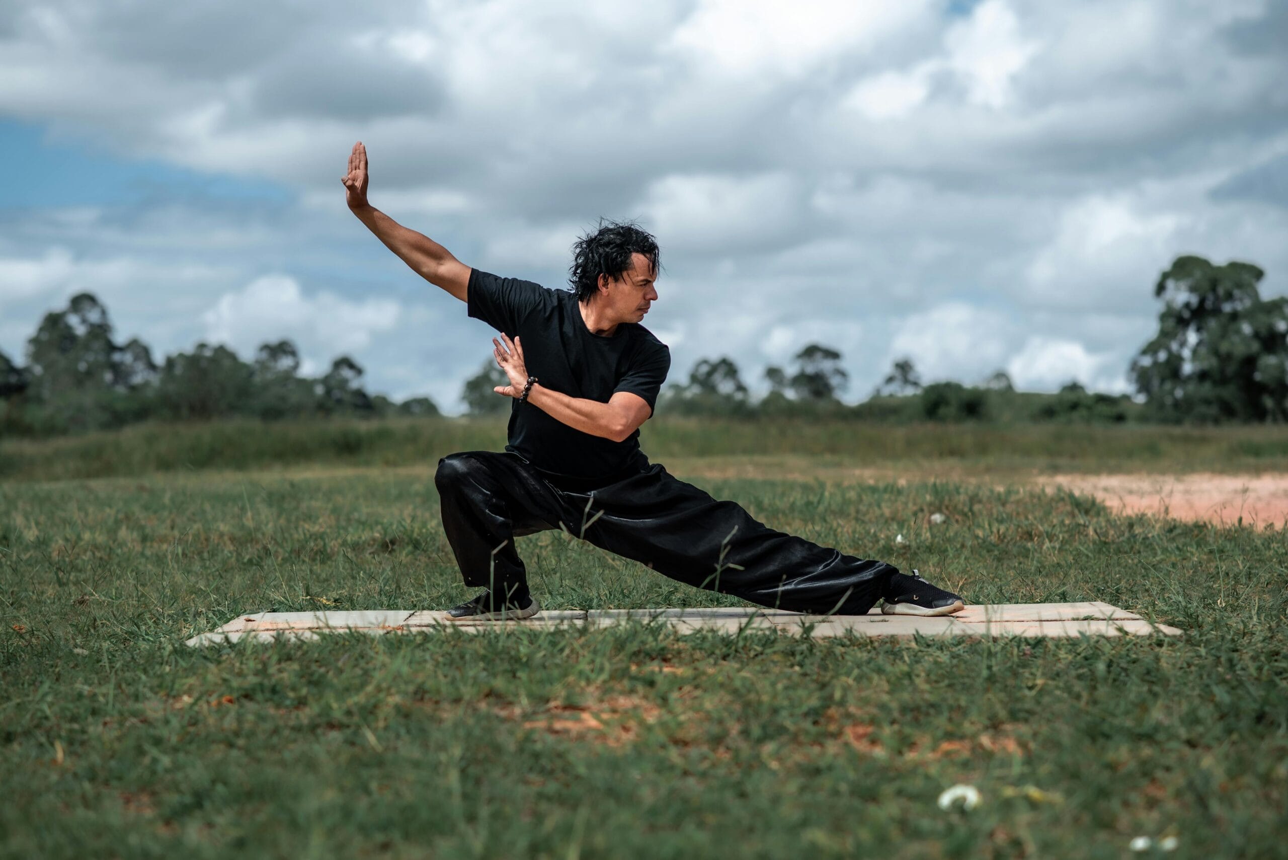 Adult man performing Tai Chi on a grassy field, showcasing martial arts mindfulness in nature.